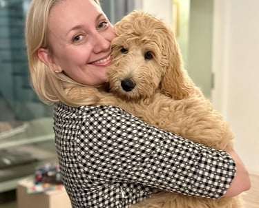 un golden doodle cucciolo in italia