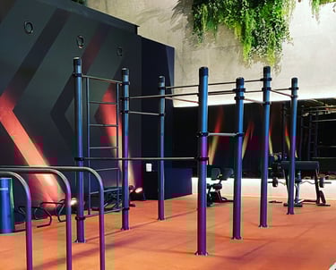 Equipements de street workout indoor dans une salle de sport