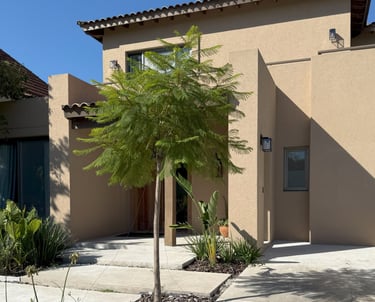 a house with a tree in the front yard