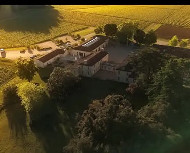Vue aérienne du château de ferrand à saint émilion