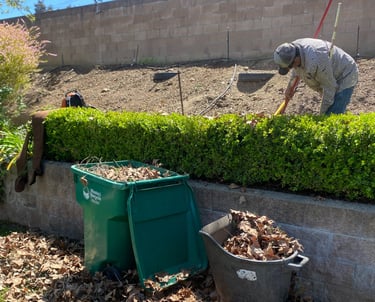 Bushing trimming and leaf cleanup