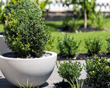 a potted planter with a potted planter