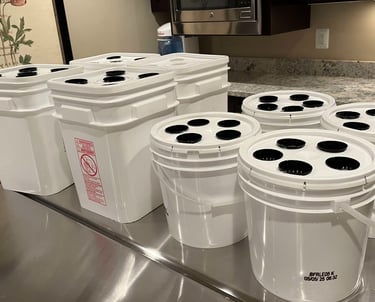 Hydroponic grow buckets on a table