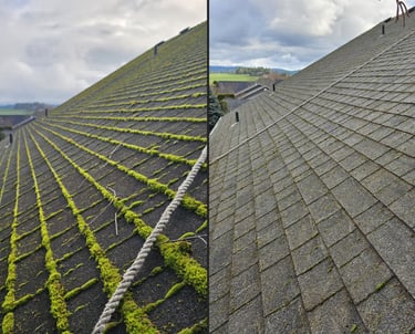 a roof with moss growing on the roof and then the moss got removed.