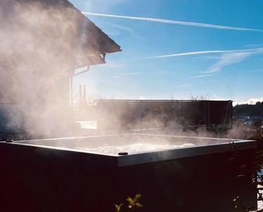 MetallSpa Edelstahl Whirlpool