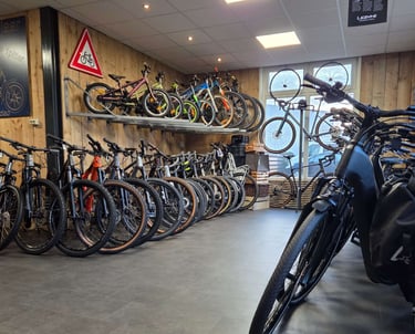 Fietsen in de showroom van Otto’s Tweewielershop.