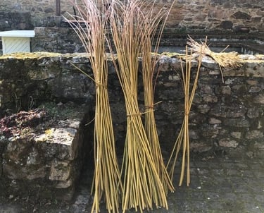 Brins d'osier - Atelier Saule Sister