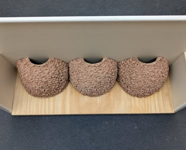 triple-house-martin-nest-cup-with-upvc-false-eaves--by-nest-cup-box