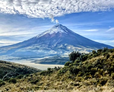 Cotopaxi seen from Rumiñahui