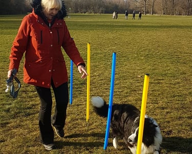 Gabriele Bleier beim Agility Training