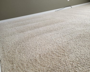 Fresh Clean White Carpet when using King Organic Clean