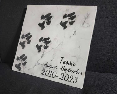 Dog paw prints