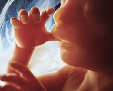 unborn baby sucking thumb