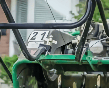 spring yard prep