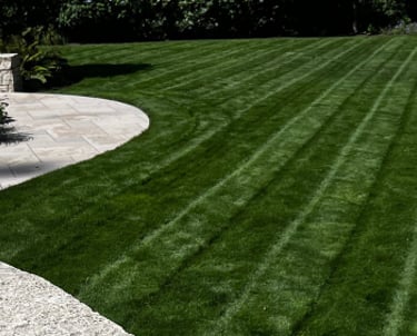 a lawn with a stone wall and a patio in the grass
