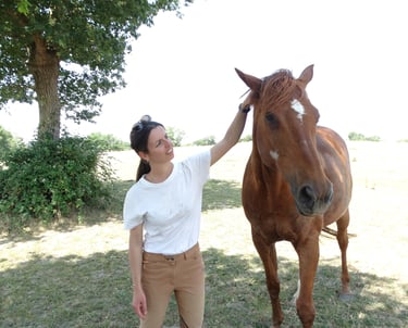 Equithérapeut caressant un cheval