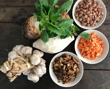 alimentos terapeuticos