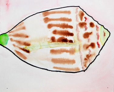 watercolor painting of a sea shell