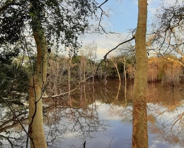 Dam near the Phinda river boundary at Albizia self catering tents and glamping in Hluhluwe