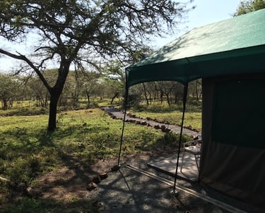 Owner run and intimate accommodation at Albizia self catering tented camp in Hluhluwe