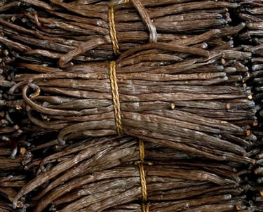 vanilla tahitensis