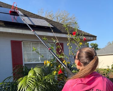 solar panel cleaning company