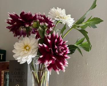 Cut dahlias at Mallow Rose Cottage, Summer 2024