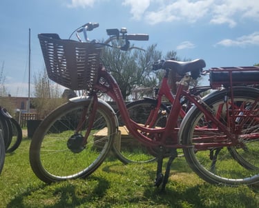 vélos location penvins
