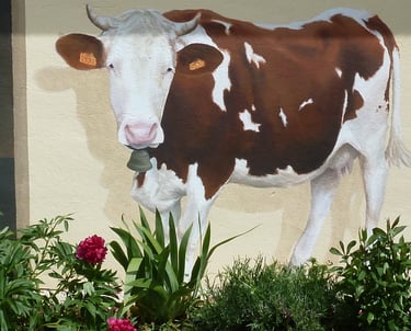 Détail d'un trompe-l'oeil sur façade: une vache Montbéliarde avec cornes et cloche. Echailla, Jura.