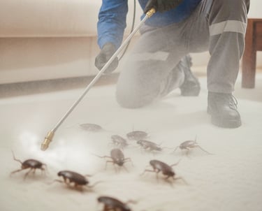 dedetização de baratas