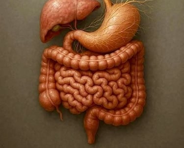 intestino