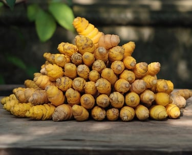 High-quality Indian finger turmeric exports worldwide