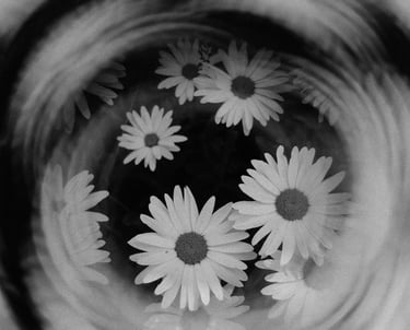 Decorative image by Lisa from Pexels