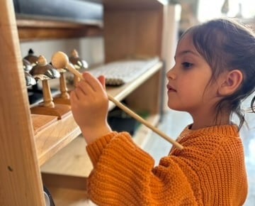 Montessori Activity