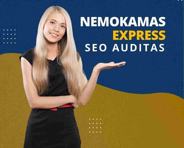 Nemokamas express seo auditas