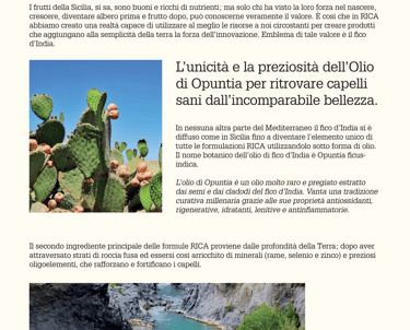 a page spread about the benefits of the fruit