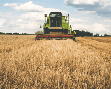 AI in Agriculture
