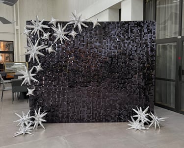 Juoda blizgi foto siena, foto siena vilnius, foto siena vilniuja, foto sieneles nuoma, foto sienele