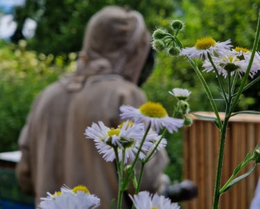apiculteur , ruches et fleurs