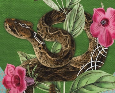 Ace of Earth, Wise Earth Medicine Tarot