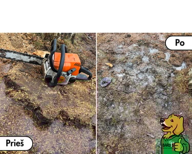 Kelmų šalinimas prieš ir po – frezavimo rezultatas sklype