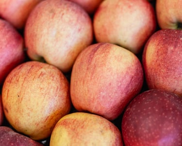 Pomme bio du verger familial en Savoie