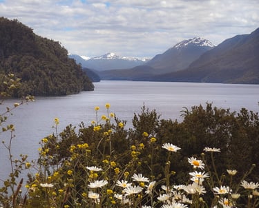 San Martin de Los Andes, Argentina, Patagonia, South America