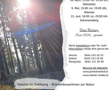 Lichtwege zu Gaias Energie Kraftplätzen