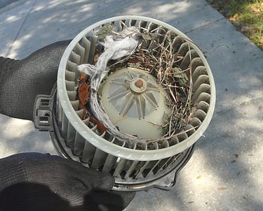 Car AC Blower Motor Replacement