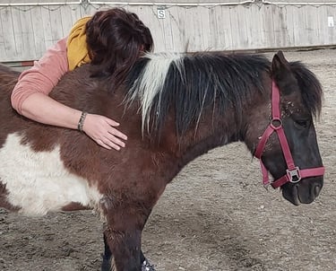 Une personne qui trouve du réconfort dans le soutien d'un cheval