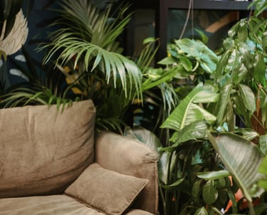 Couch surrounded by lush plants symbolizing comfort and privacy, online psychological counseling