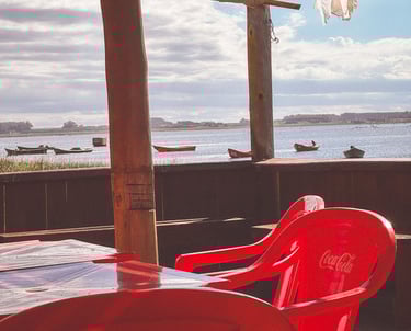 Apalco next to Laguna Rocha in Uruguay