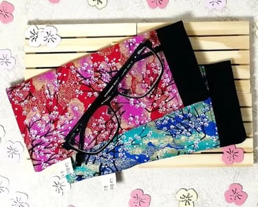 2 étuis à lunettes