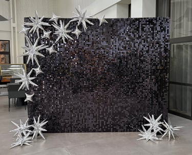 Juoda blizgi foto siena, foto siena vilnius, foto siena vilniuja, foto sieneles nuoma, foto sienele